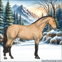 Horse Color:Buckskin Roan 