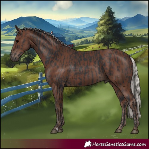 Horse Color:Black and Silver Black