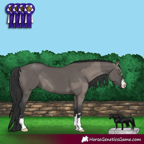 Horse Color:Grullo and Grullo