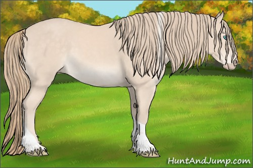 Horse Color:Perlino Tobiano Rabicano