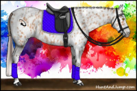 Horse Color:Amber Champagne Sabino Tobiano Near Leopard  and Silver Amber Champagne Sabino Tobiano Near Leopard 