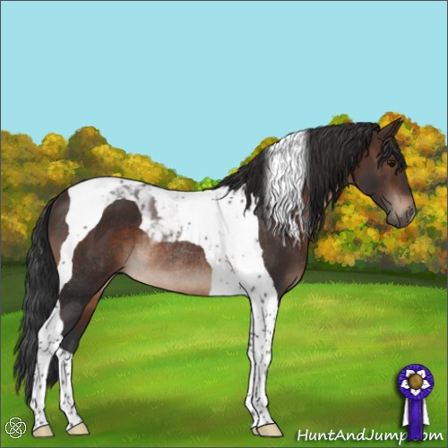 Horse Color:Brown Tobiano Rabicano