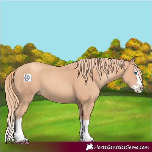 Horse Color:Gold Champagne Splash 