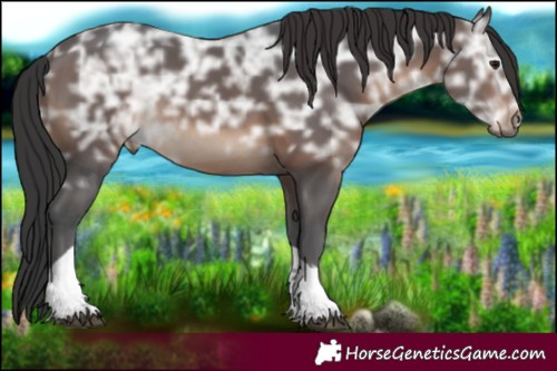 Horse Color:Brown Ice Tobiano Rabicano