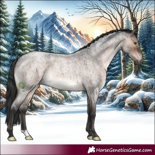 Horse Color:Brown Roan Dun 