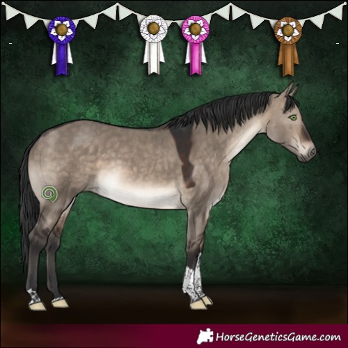 Horse Color:Brown Dun Tobiano