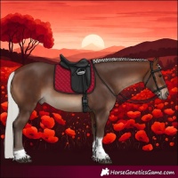 Horse Color:Silver Brown Tobiano Rabicano
