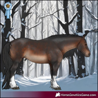 Horse Color:Brown Tobiano Rabicano 
