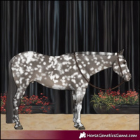 Horse Color:White Spotted Smoky Grullo Tobiano Appaloosa Rabicano Brindle 