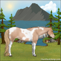 Horse Color:Red Roan Pearl Tobiano Frame 