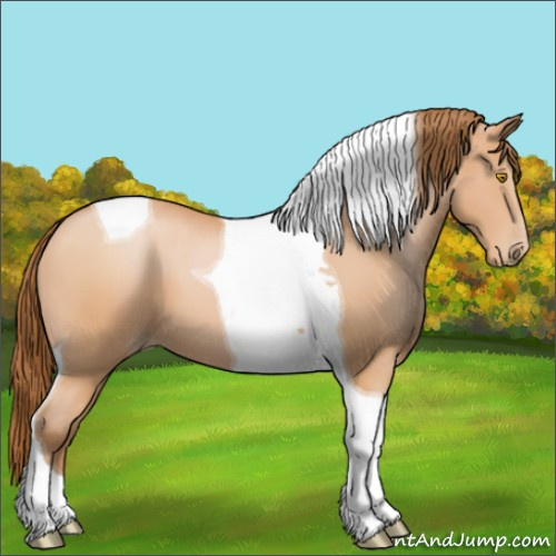 Horse Color:Bay Pearl Tobiano