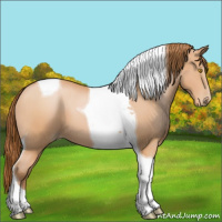 Horse Color:Bay Pearl Tobiano 