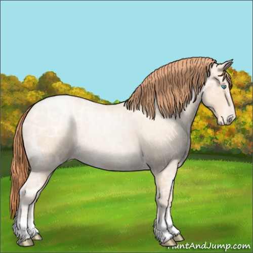 Horse Color:Amber Champagne Ice Roan Pearl