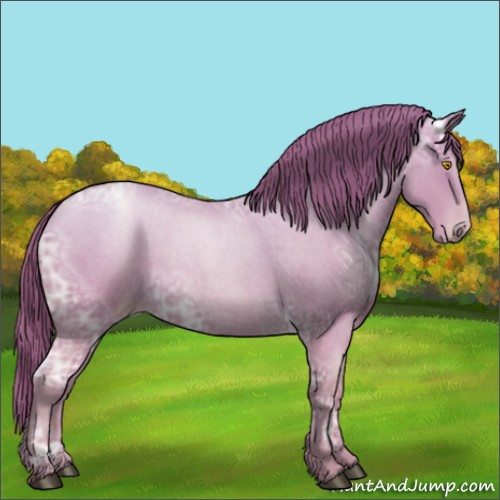 Horse Color:Bay Ice Roan Pearl