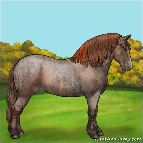 Horse Color:Blue Ice Roan Pearl 