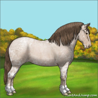 Horse Color:Blue Ice Roan Pearl 