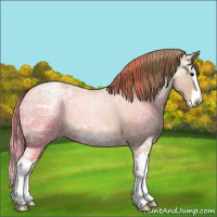 Horse Color:Blue Ice Roan Pearl Splash 