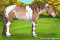 Horse Color:Brown Pearl Tobiano Rabicano