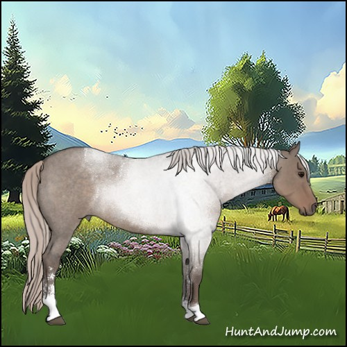 Horse Color:Silver Grullo Roan Sabino 