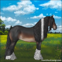 Horse Color:Brown Tobiano Rabicano