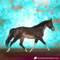 Horse Color:Brown Tobiano Rabicano