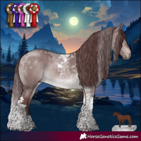 Horse Color:Platinum Chocolate Brown Dun Tobiano Rabicano 