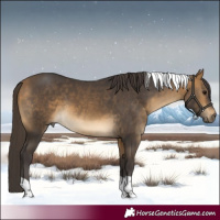 Horse Color:Buckskin Tobiano Rabicano