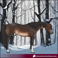 Horse Color:Brown Tobiano Rabicano