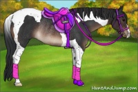 Horse Color:Brown Tobiano Rabicano 