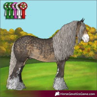 Horse Color:Silver Smoky Black Sabino Rabicano 