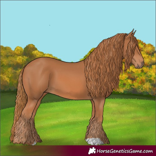 Horse Color:Chestnut 