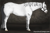 Horse Color:White Spotted Black Frame 