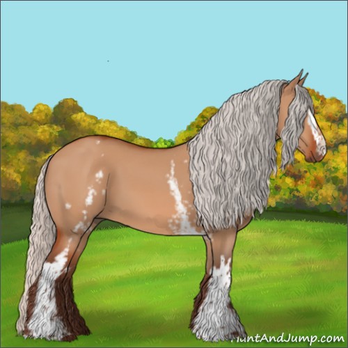 Horse Color:White Spotted Silver Bay Dun 
