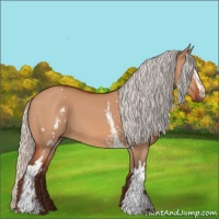 Horse Color:White Spotted Silver Bay Dun 