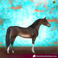 Horse Color:Brown Tobiano Rabicano