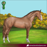Horse Color:Brown Pearl 
