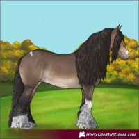 Horse Color:Brown Dun Tobiano Rabicano