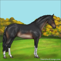 Horse Color:Brown Tobiano Rabicano
