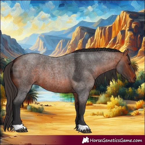 Horse Color:Bay Roan 