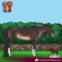Horse Color:Brown Tobiano Rabicano 