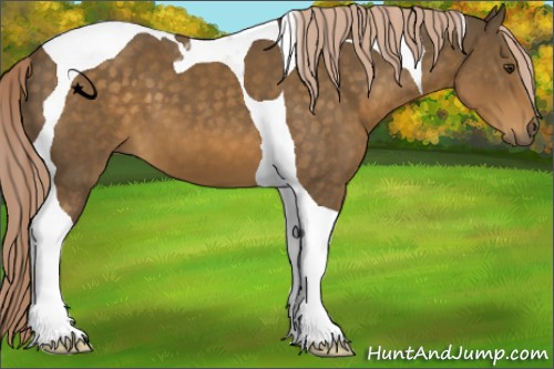 Horse Color:Chocolate Palomino Tobiano 