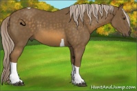 Horse Color:Chocolate Palomino Tobiano 