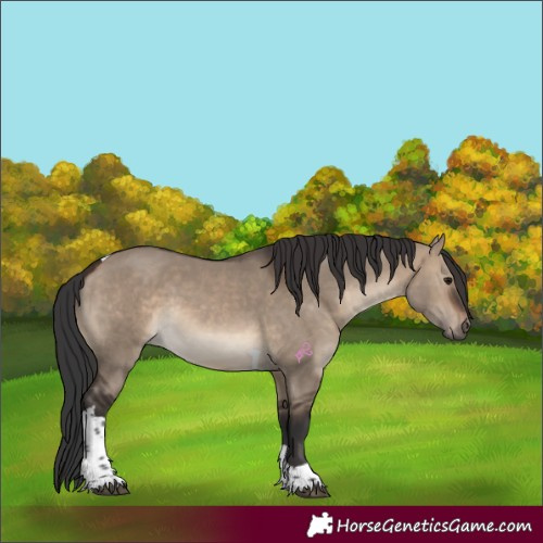 Horse Color:Brown Dun Tobiano Rabicano