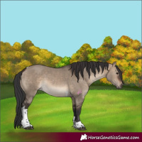 Horse Color:Brown Dun Tobiano Rabicano 