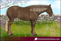 Horse Color:Chocolate Palomino Splash