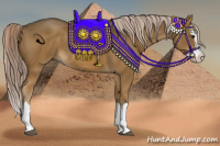 Horse Color:Chocolate Palomino 