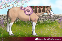 Horse Color:Amber Champagne Splash