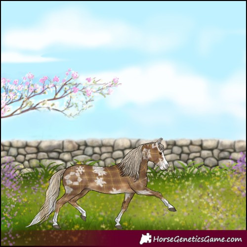 Horse Color:Plaid Chocolate Palomino Ice Splash
