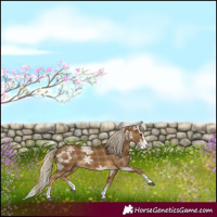 Horse Color:Plaid  Chocolate Palomino Ice Splash 
