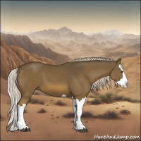 Horse Color:Chocolate Palomino Splash 